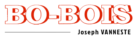 logo bo-bois